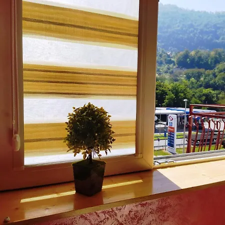 Golub Sevojno 아파트 *