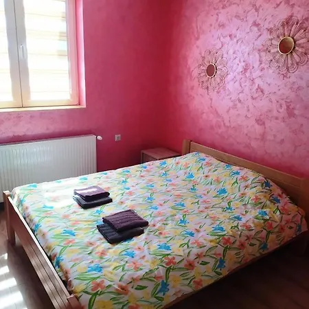 Golub Sevojno 우지체