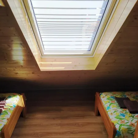 Golub Sevojno 우지체