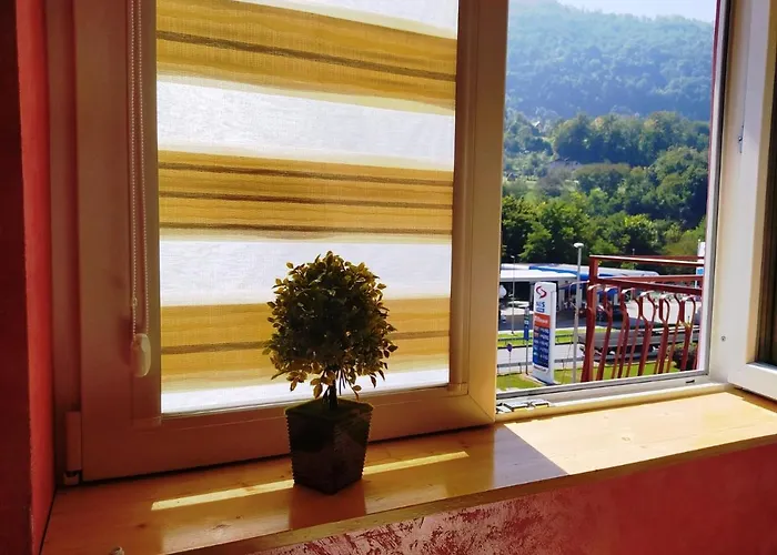 Golub Sevojno Apartment *